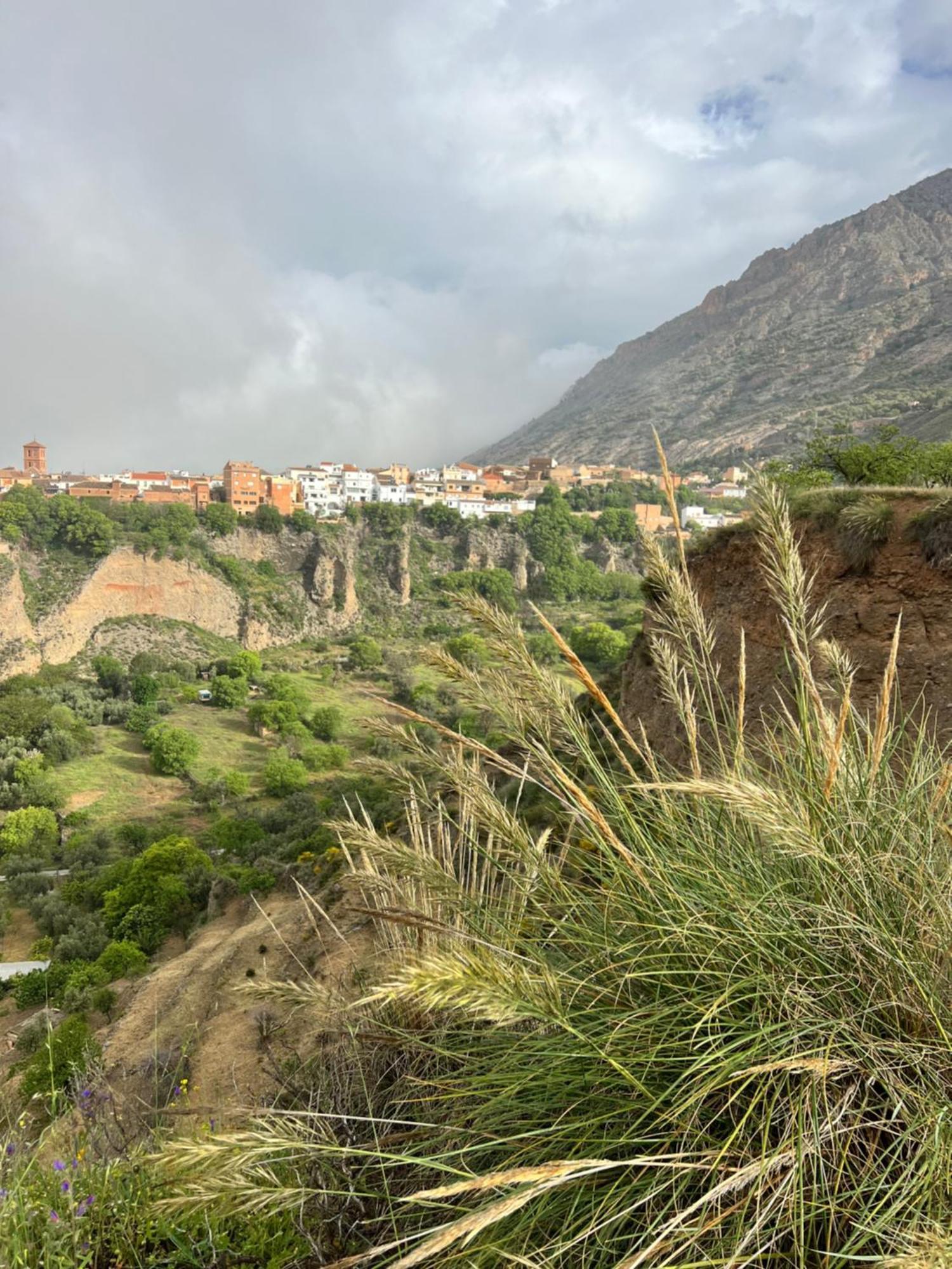 Casa Morayma, Lecrin, Granada (Adults Only) Hotel Acequias Exterior photo